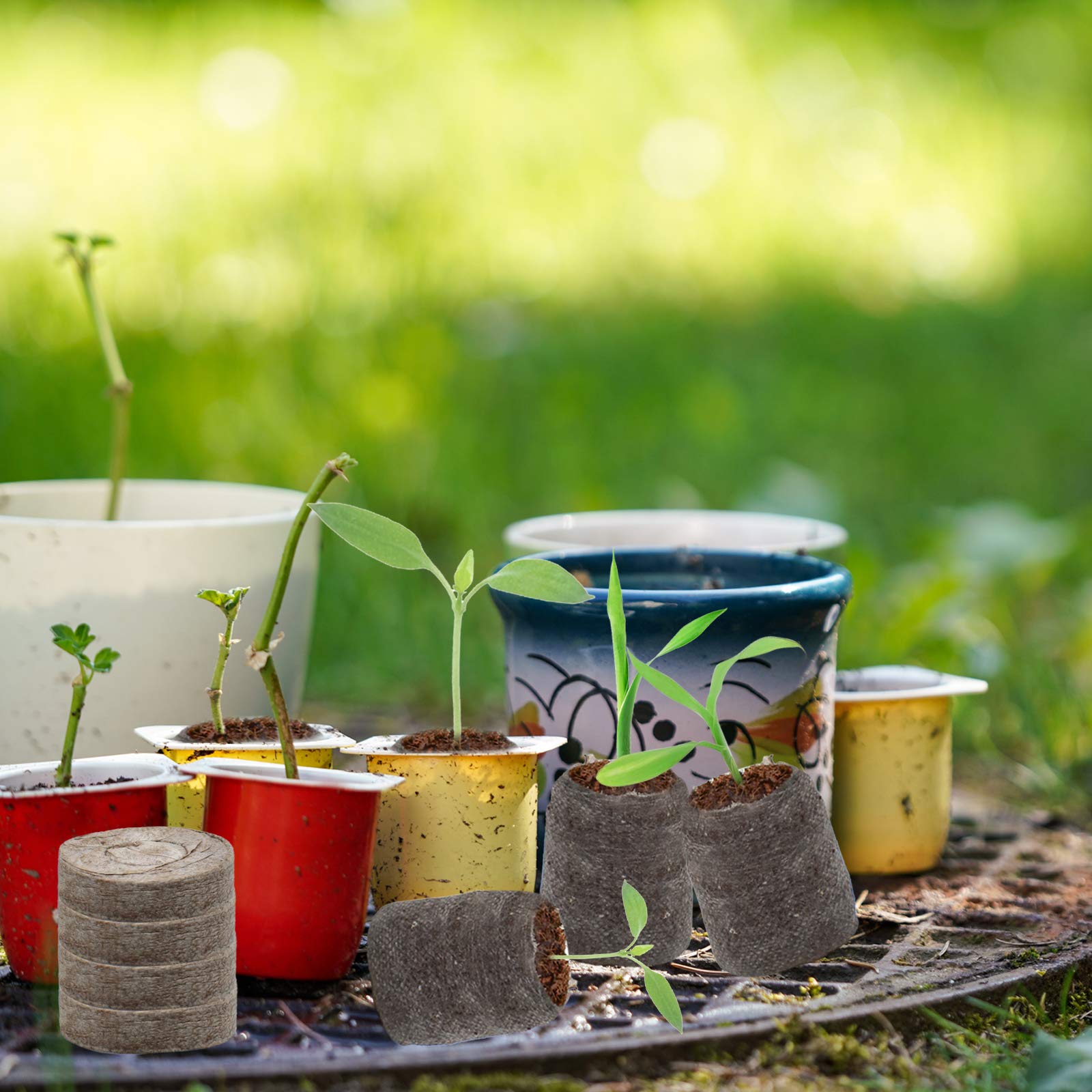 ZeeDix organic garden pods support vegetables, herbs, and ornamental plants
