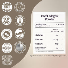 Close-up of agglomerated collagen blend showing type 1 and 3 collagen.
