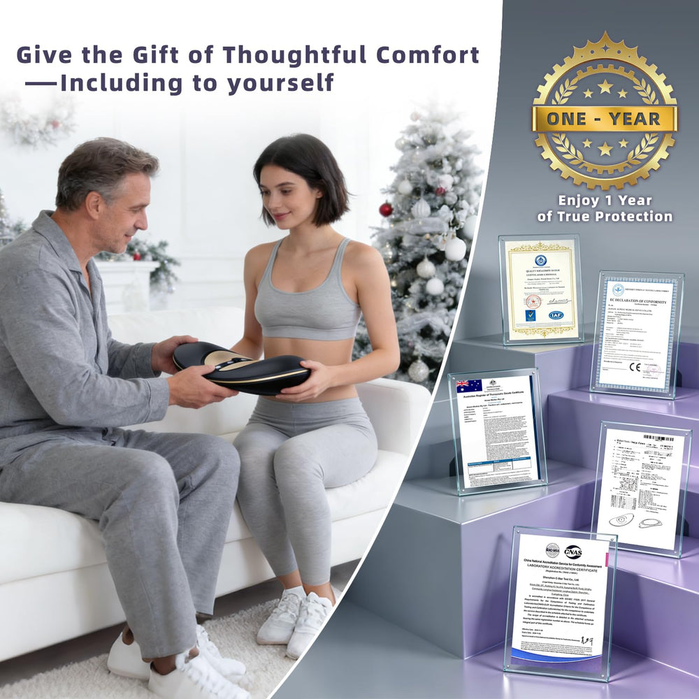 Zenopax inclusive accessories and one-year warranty information