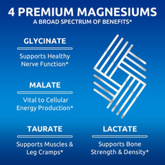 Capsules in hand demonstrate easy-to-swallow size for daily nerve and energy support.
