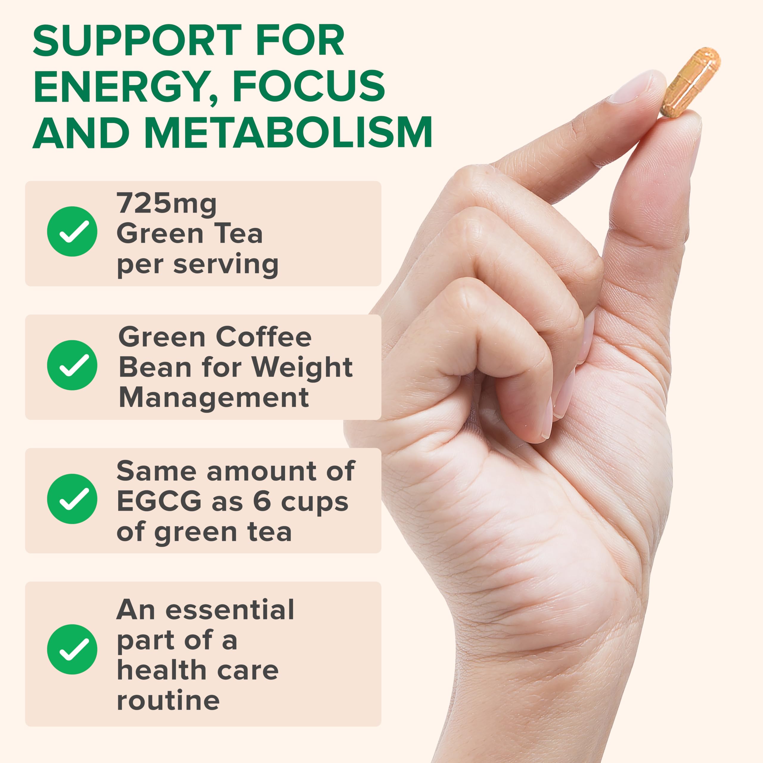 Zenwise Green Tea Extract capsule with vegan badge and quality assurance seal.