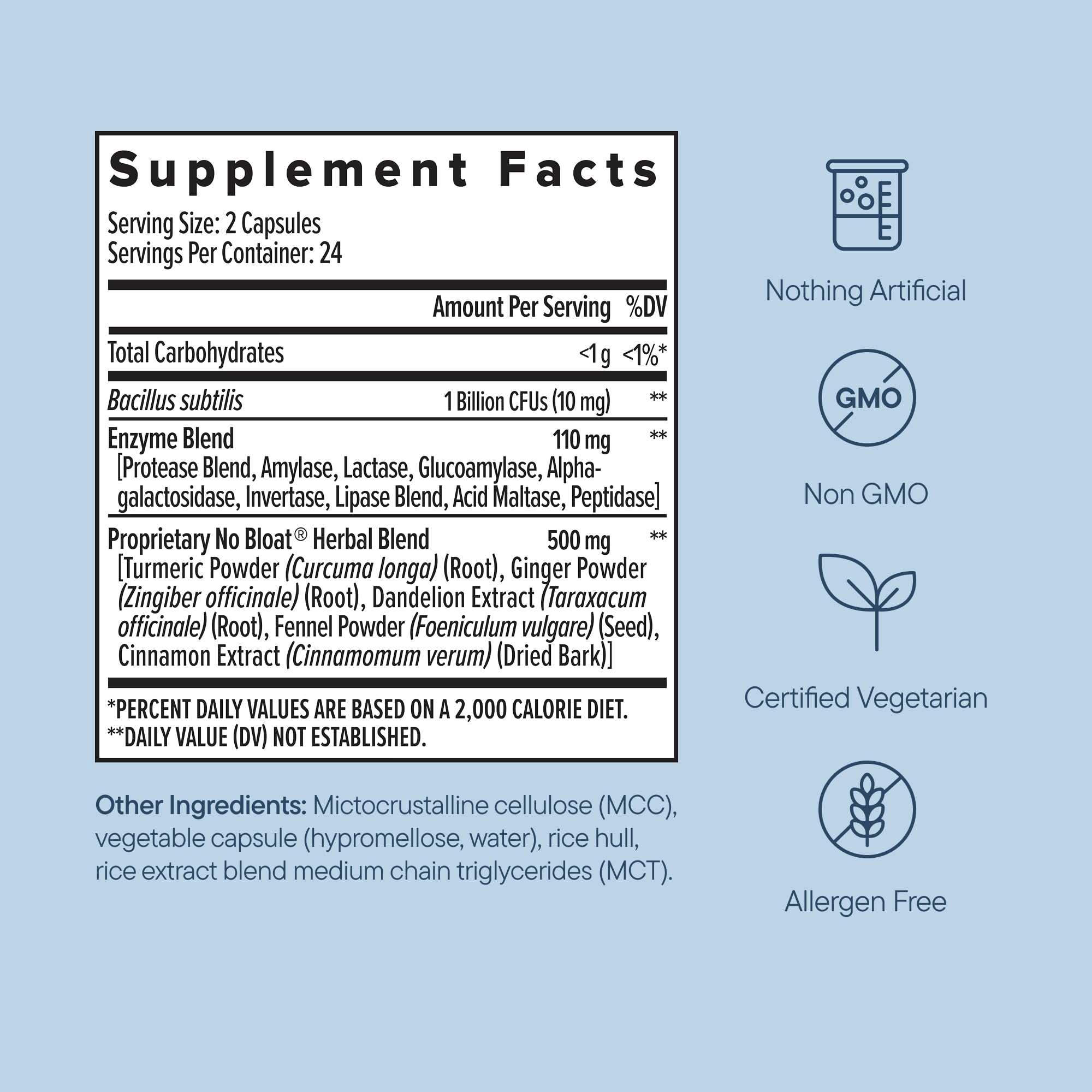Zenwise No Bloat day-use scene suggesting after-meal digestion support.