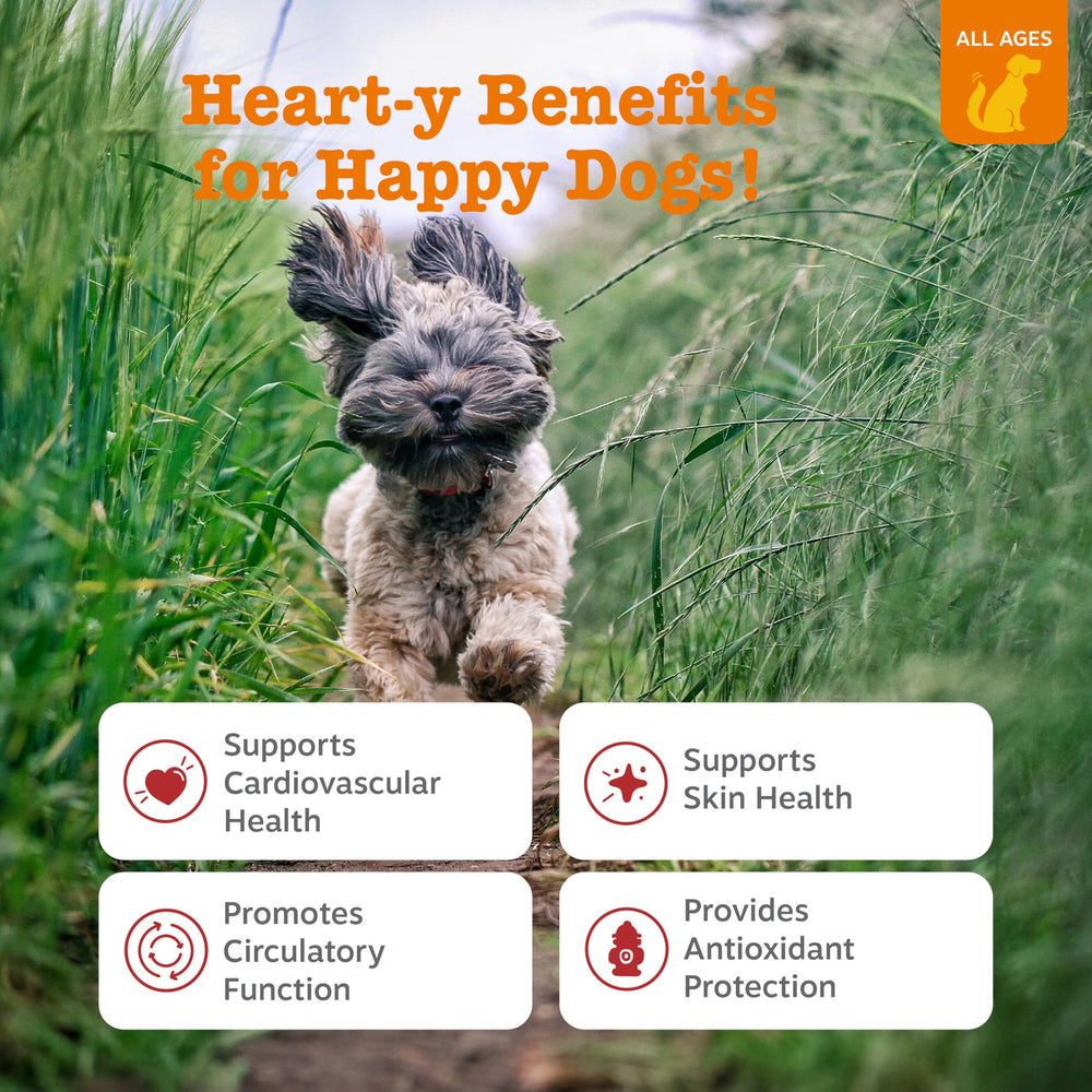 Zesty Paws AlaskOmega salmon oil bottle highlighting omega-3 heart support
