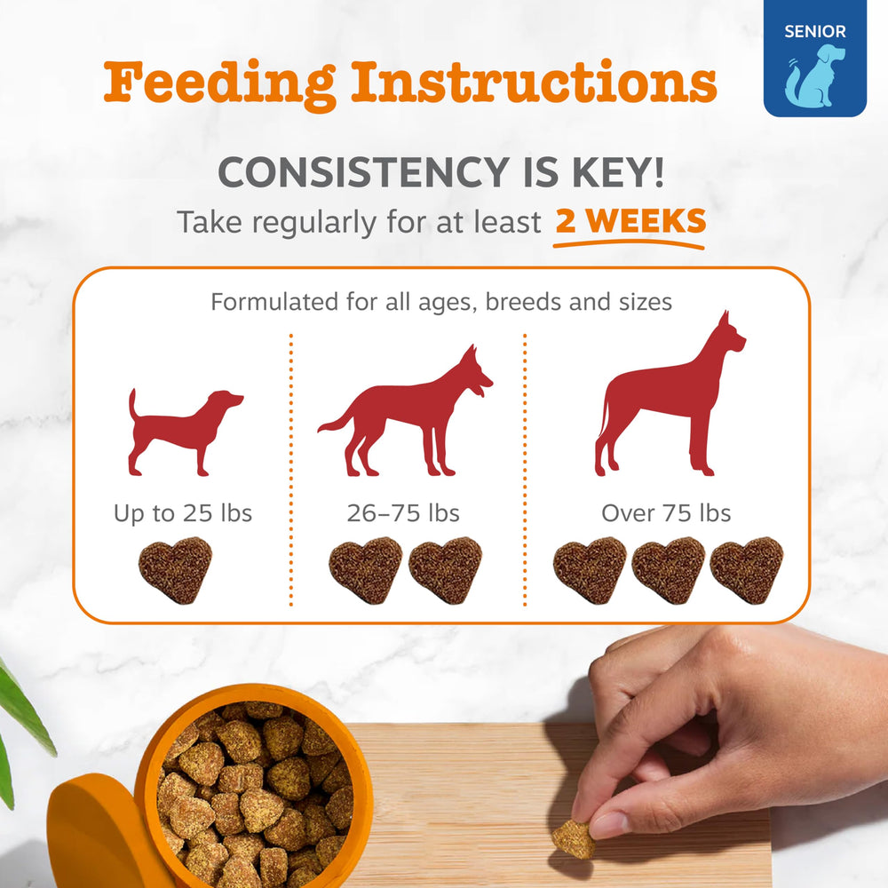 Zesty Paws algae DHA supports ocular comfort and overall senior dog health.