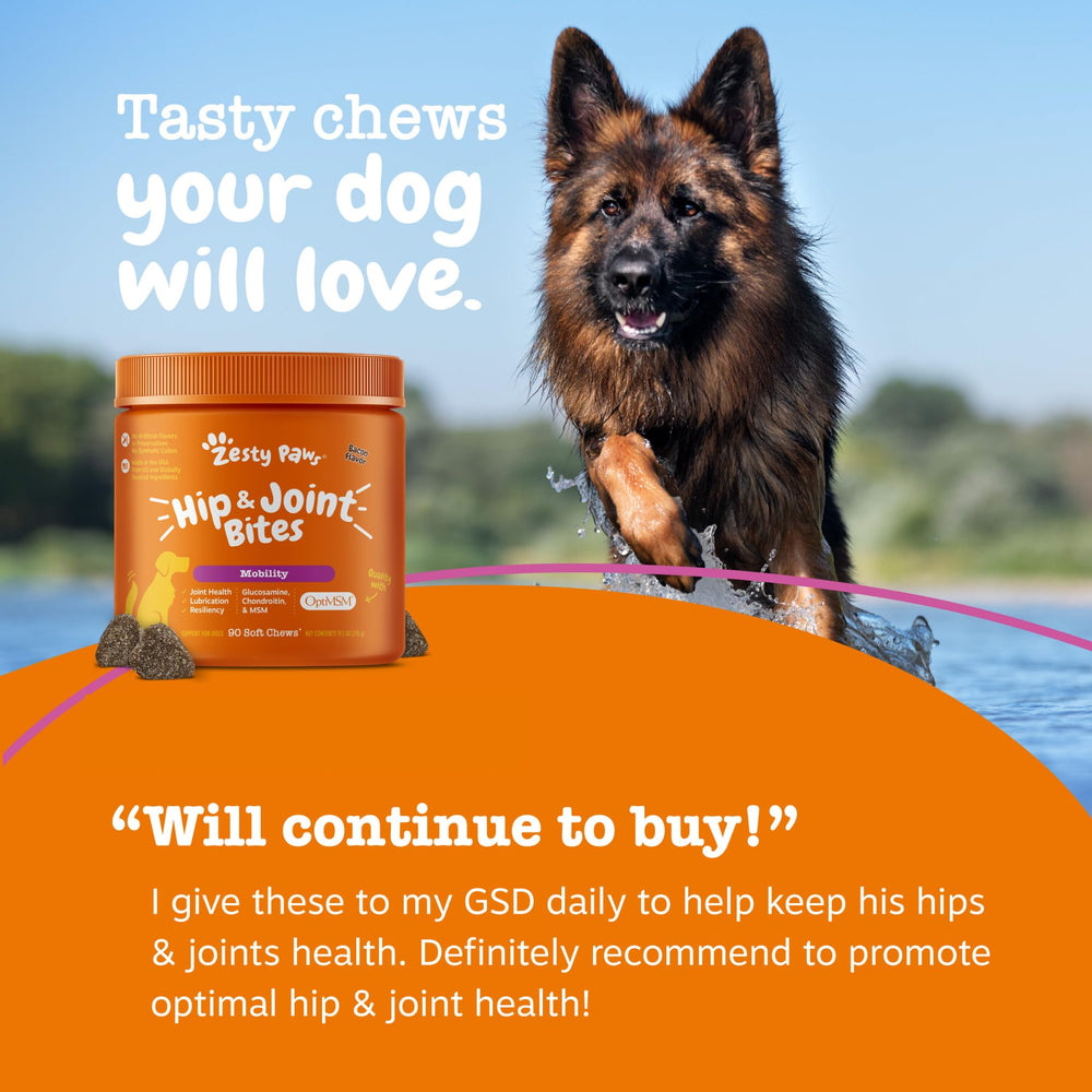 Zesty Paws bottle label close-up communicates premium joint formula.