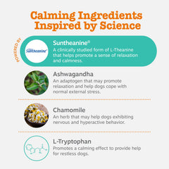 Zesty Paws Calming Chews Ashwagandha feature promotes naturally calmer responses.