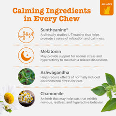 Ashwagandha and L-Theanine ingredients highlighted in Zesty Paws Calming Chews