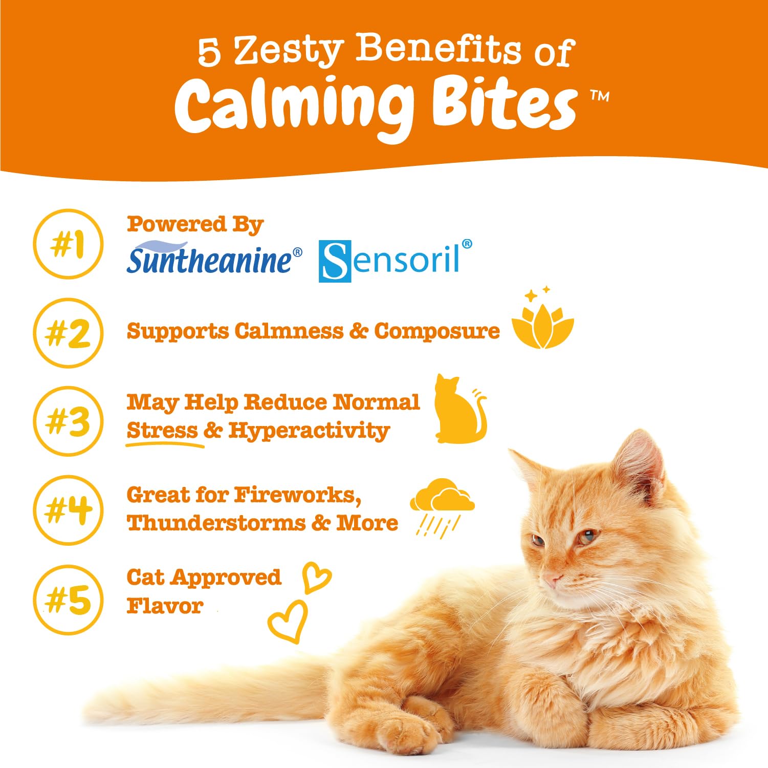 Zesty Paws Calming Chews close-up showing bacon-flavored bites and soft texture