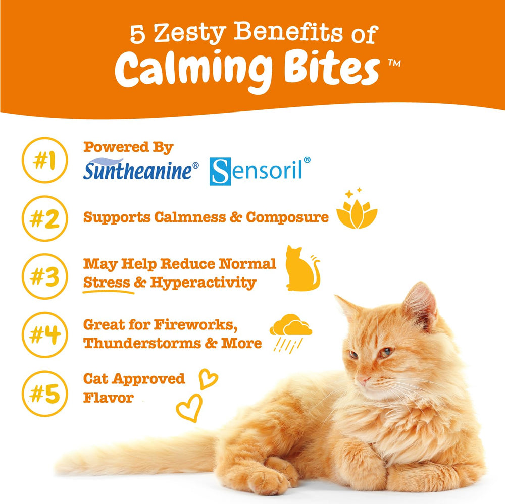 Zesty Paws Calming Chews close-up showing bacon-flavored bites and soft texture