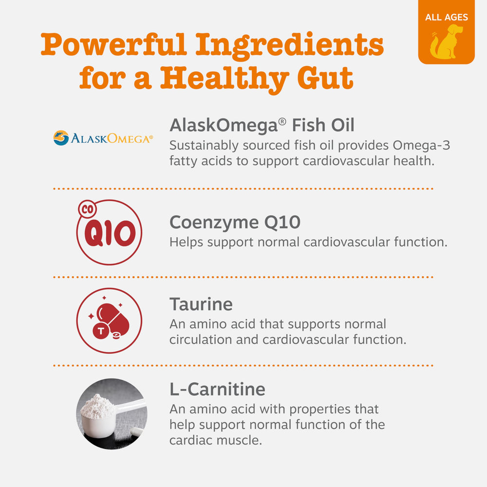 Zesty Paws CoQ10 per chew promotes normal cardiovascular function in dogs