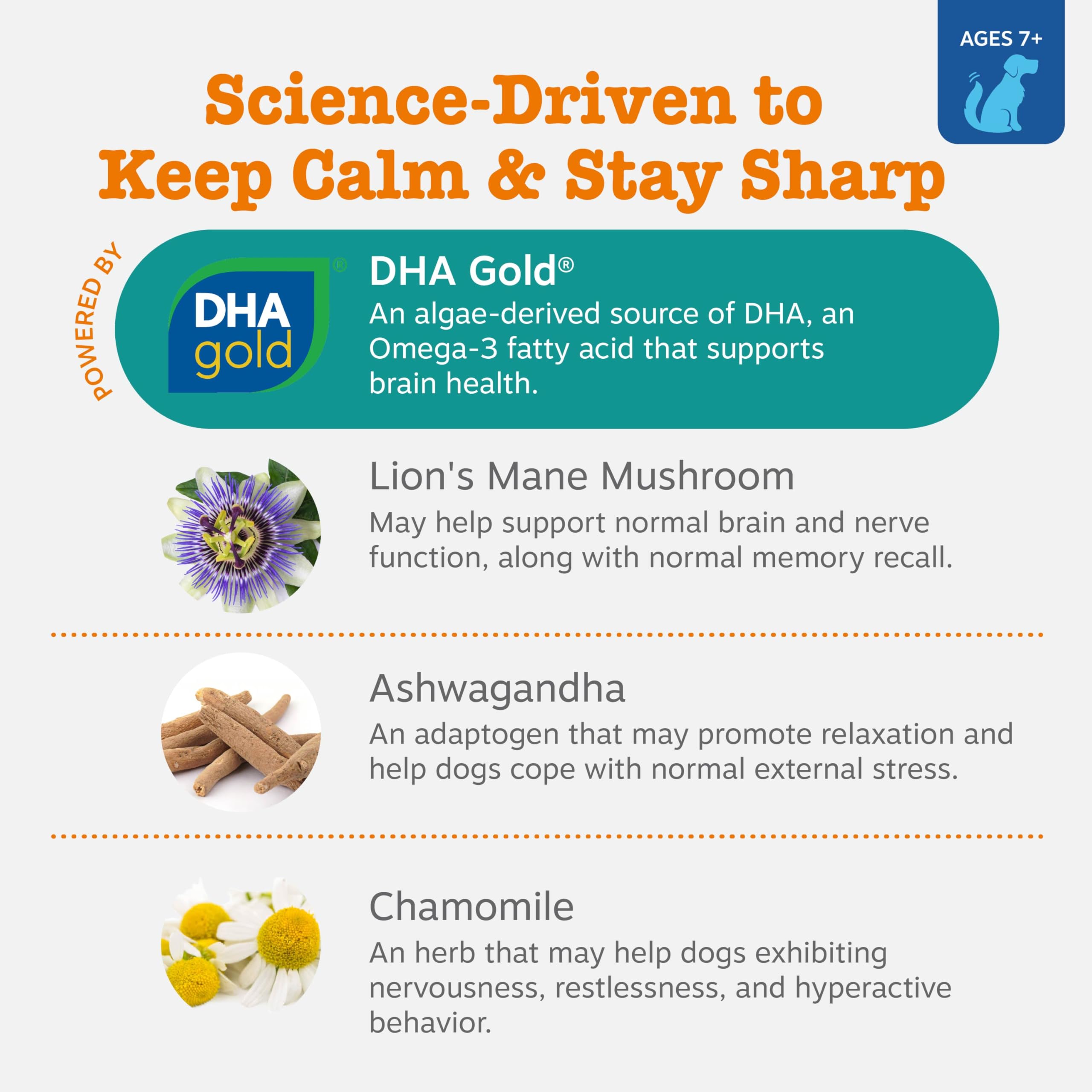 Zesty Paws DHA ingredient spotlight for brain health benefits
