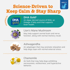 Zesty Paws DHA ingredient spotlight for brain health benefits