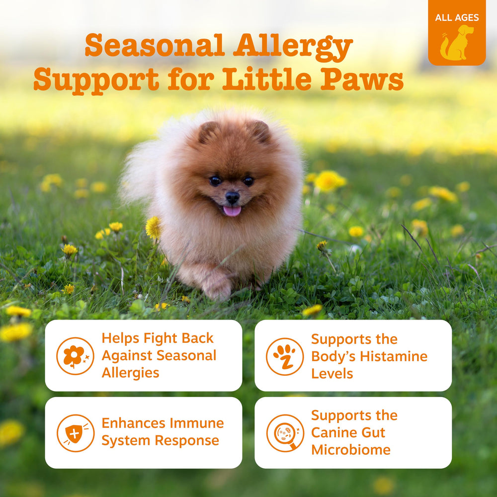 Zesty Paws allergy relief chews bottle side highlighting ingredients and immune support.