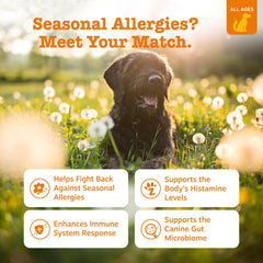 Zesty Paws allergy relief chews label emphasizing EpiCor and immune support