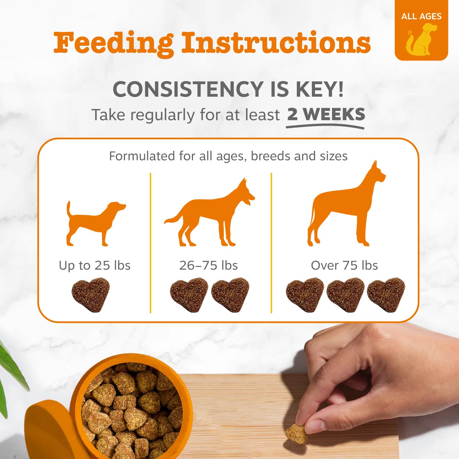 Zesty Paws packaging close-up highlighting probiotic gut health benefits