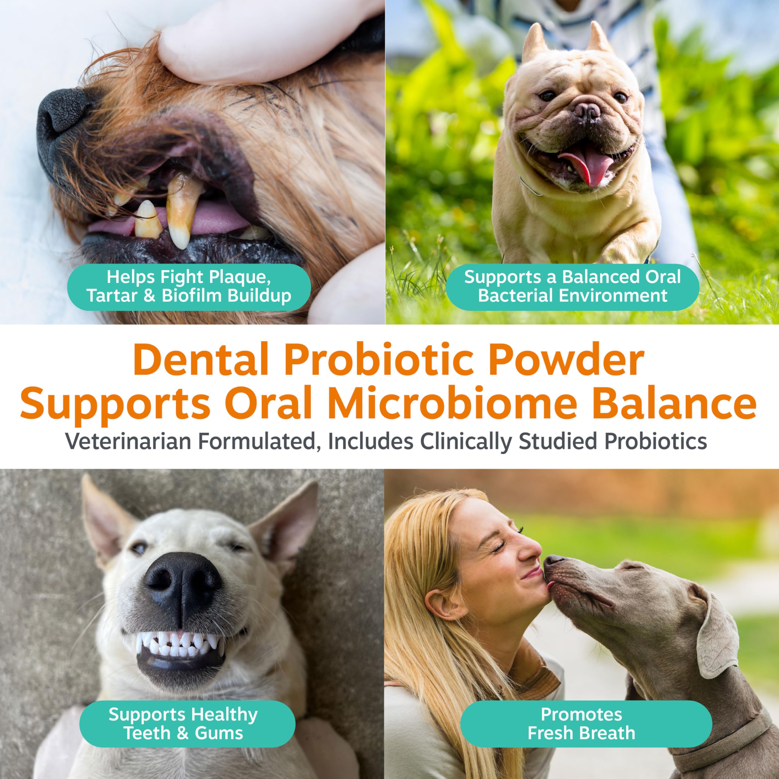 Zesty Paws probiotic fresh breath powder helps reduce dog breath after meals.