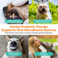 Zesty Paws probiotic fresh breath powder helps reduce dog breath after meals.