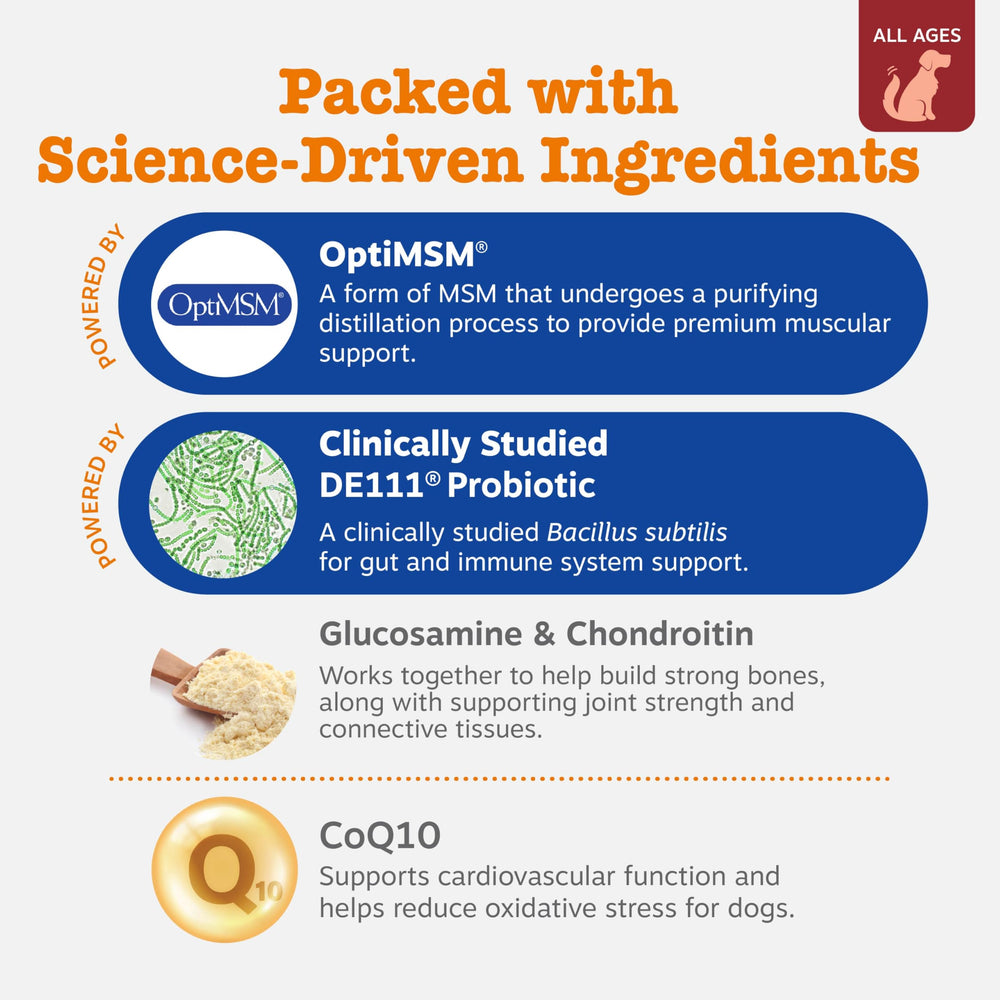 Zesty Paws dog multivitamin chews closeup reveals tasty texture and senior nutrition.