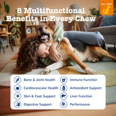 Zesty Paws multivitamin chews arranged for convenient daily support
