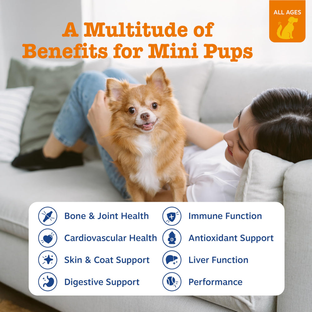 Close-up of hip joint chews from Zesty Paws for mobility assistance.