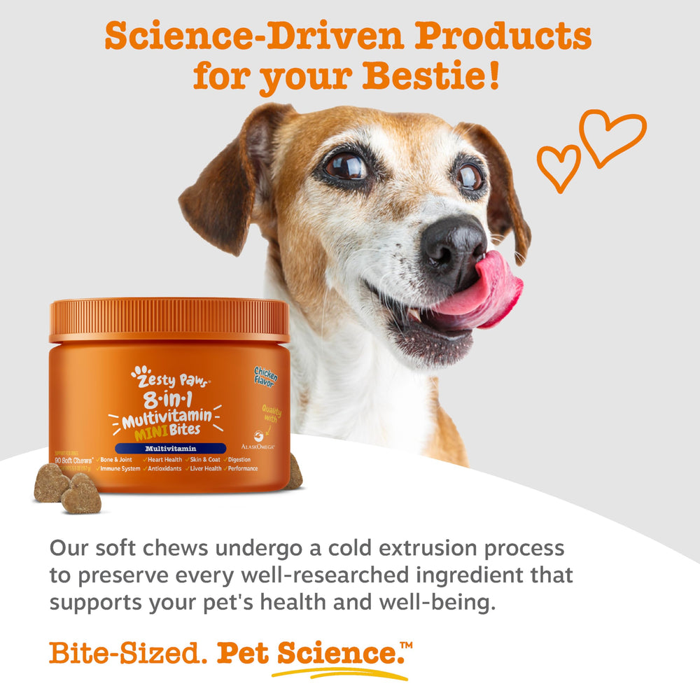 Six-strain gut health blend supports digestion in Zesty Paws bites.