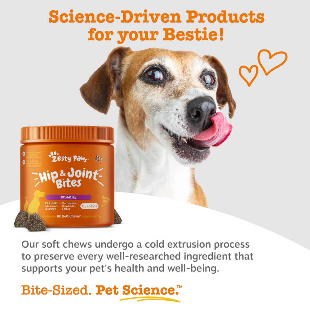 Zesty Paws dog running lifestyle with joint support chews.