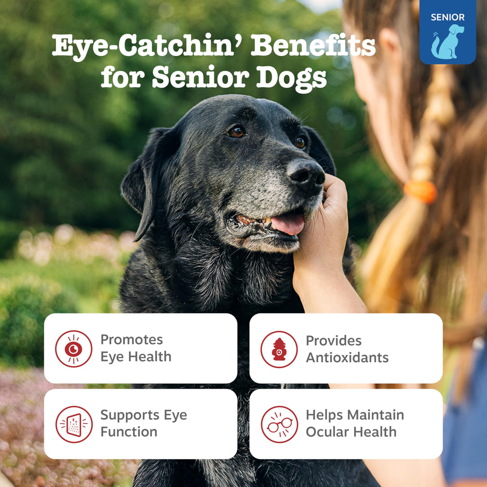 Zesty Paws lutein-zeaxanthin blend supports eye function in dogs.