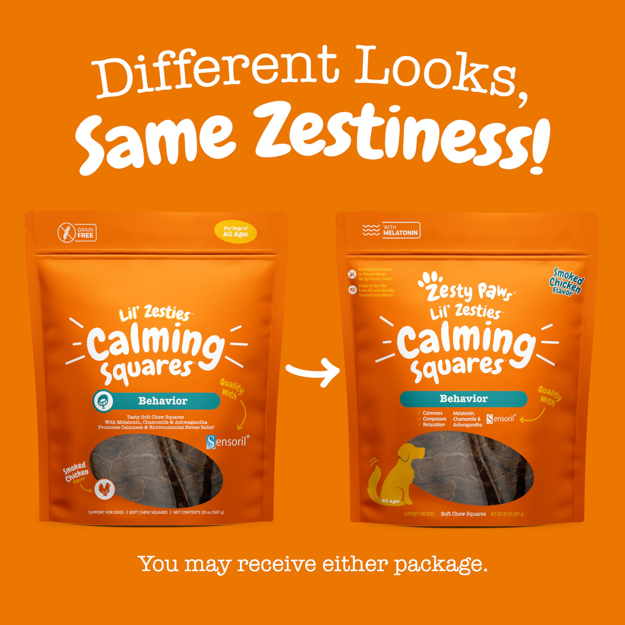 Dog in car ride with Zesty Paws Flavored Soft Chews.