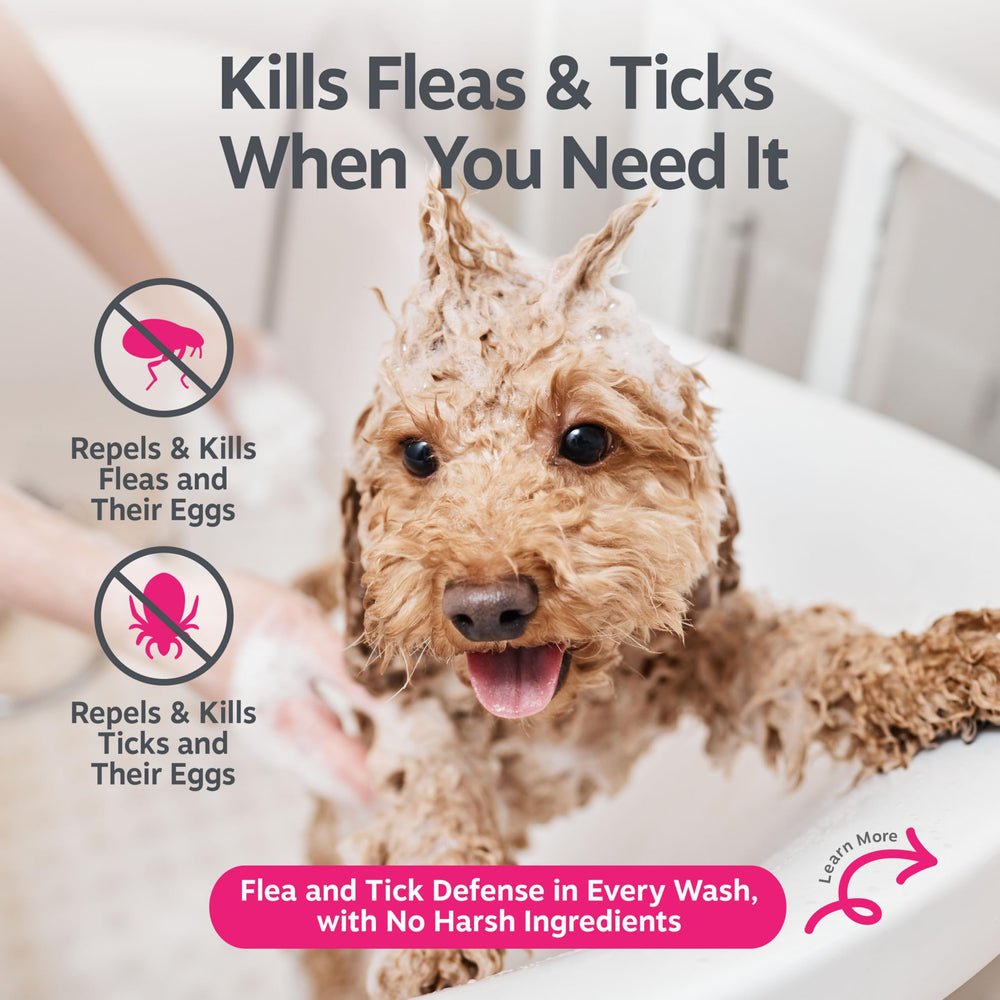 Zesty Paws shampoo features cedarwood, rosemary, and eugenol for gentle care.