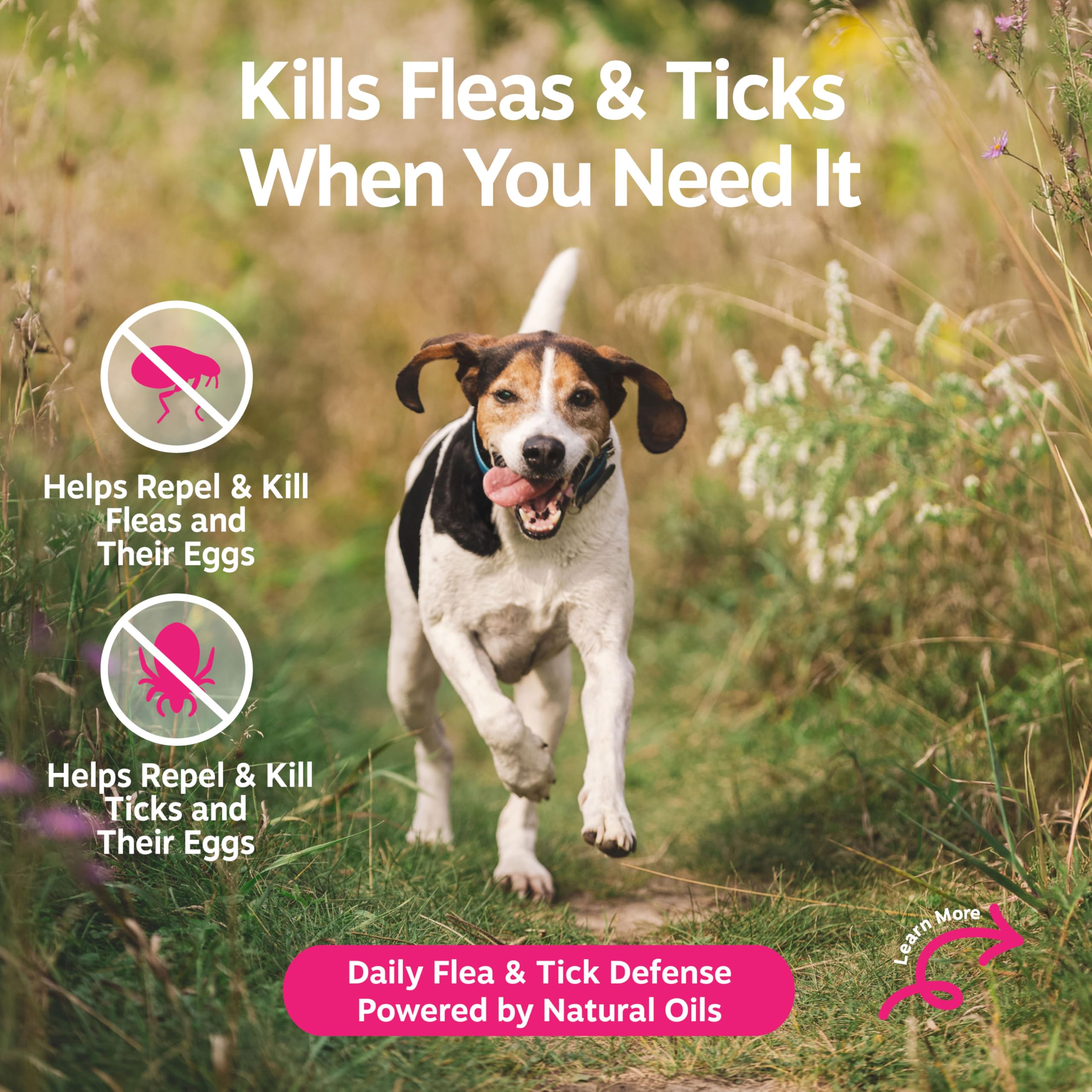 Zesty Paws spray bottle featuring cedarwood oil for soothing itchy dog skin.