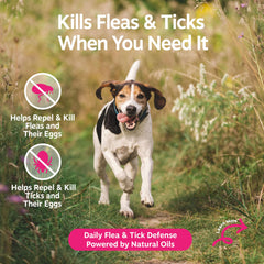 Zesty Paws spray bottle featuring cedarwood oil for soothing itchy dog skin.
