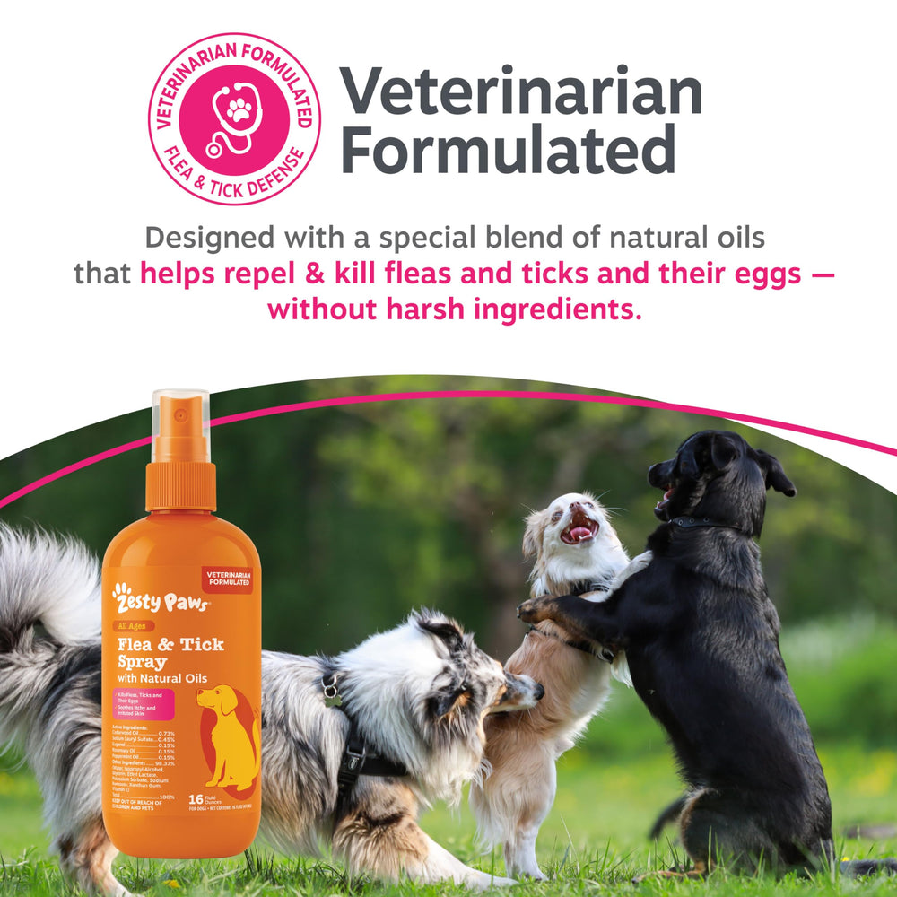 Zesty Paws spray being used at home for dogs.