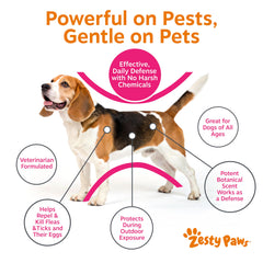 Zesty Paws spray bottle with peppermint oil for a cooling, soothing feel during use.
