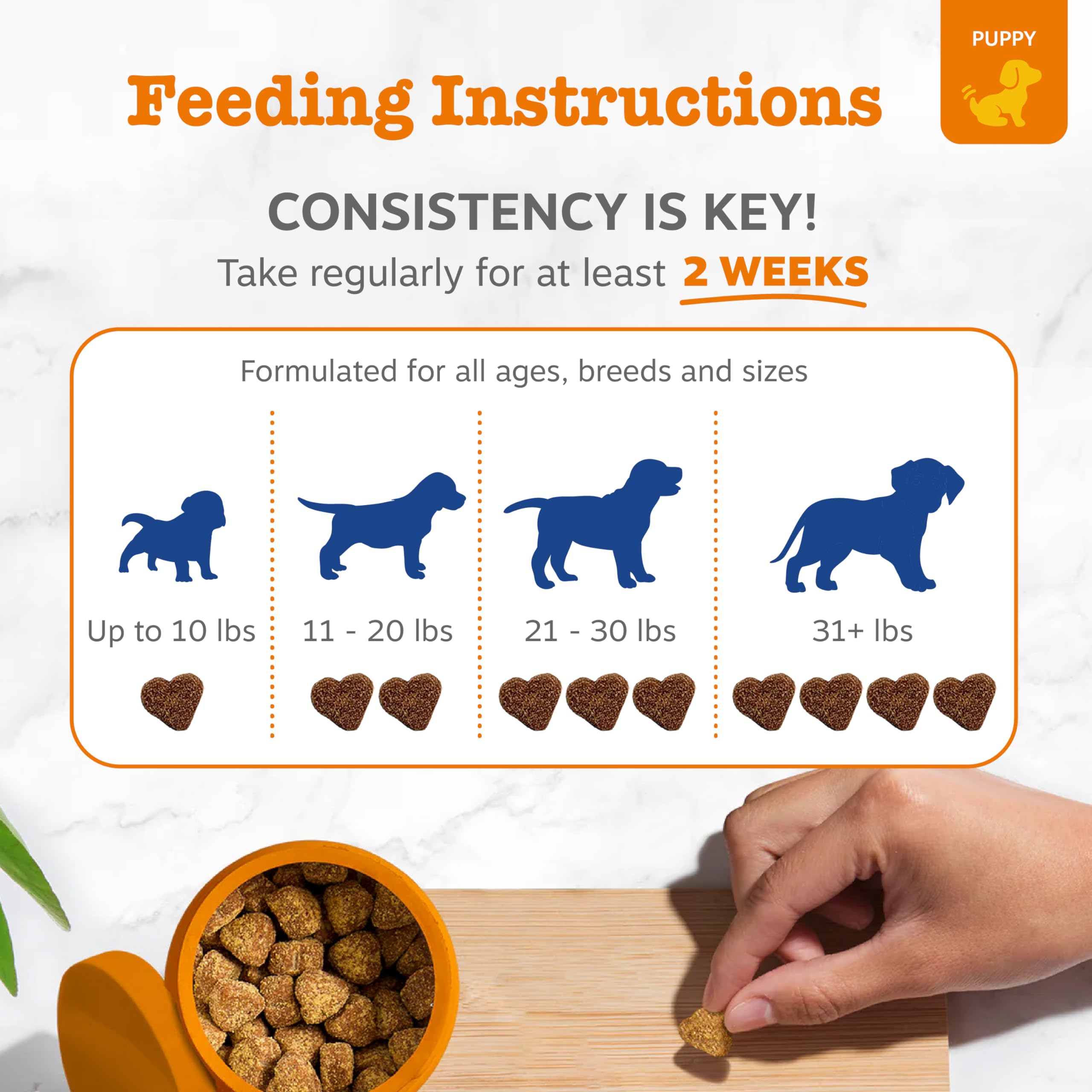 Zesty Paws hip and joint chews aid mobility in dogs.