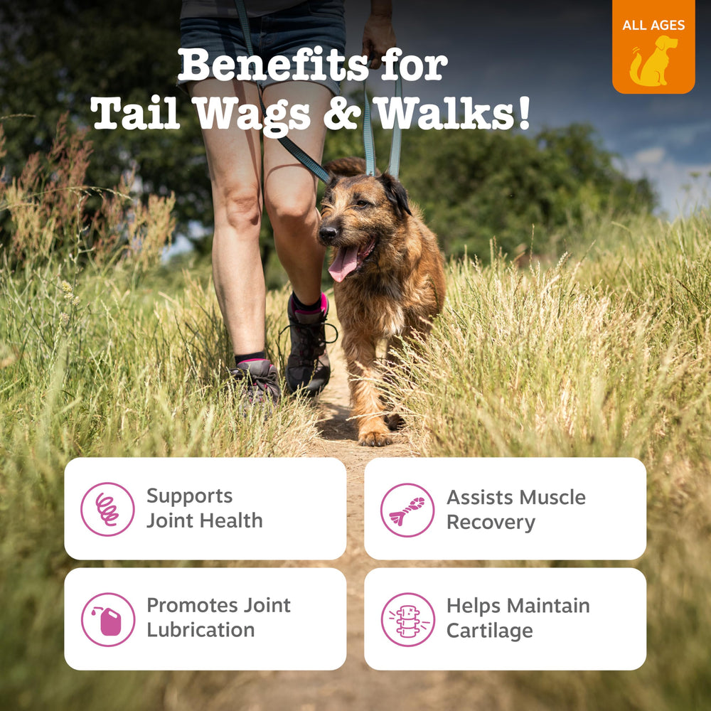 Zesty Paws Hip and Joint chews close-up highlights soft texture for easy chewing.