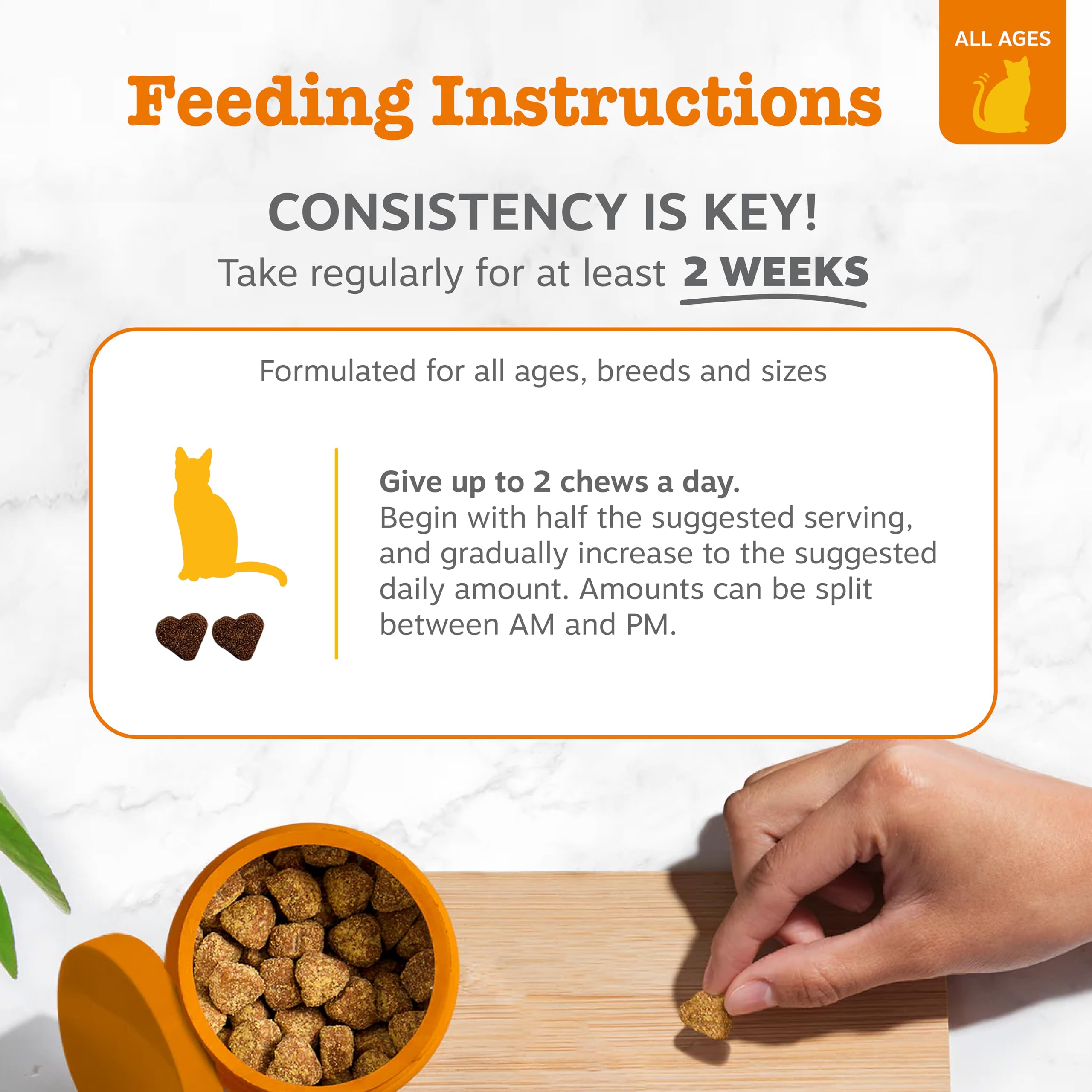 Zesty Paws ingredients L-Lysine astragale quercétine – complément naturel