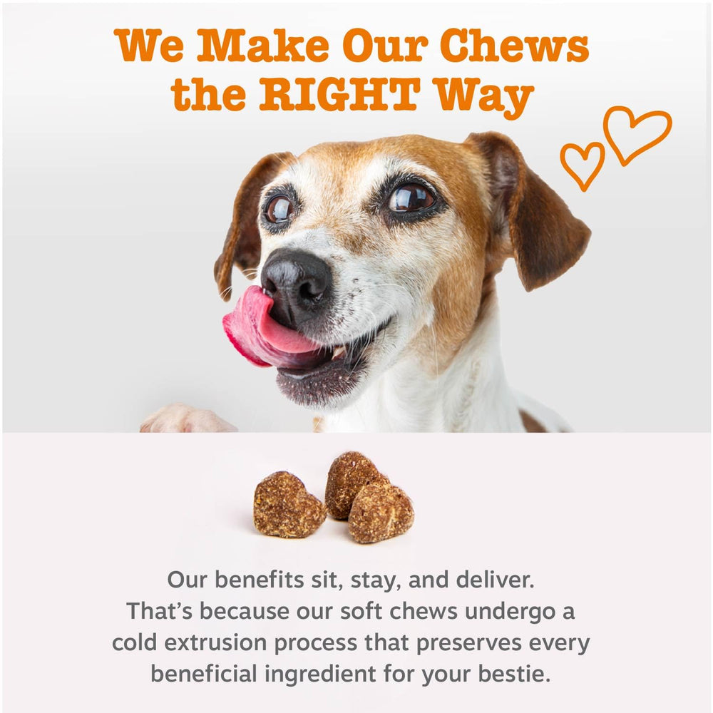 Zesty Paws Liver Support Bites soft chews shown as a dog treat