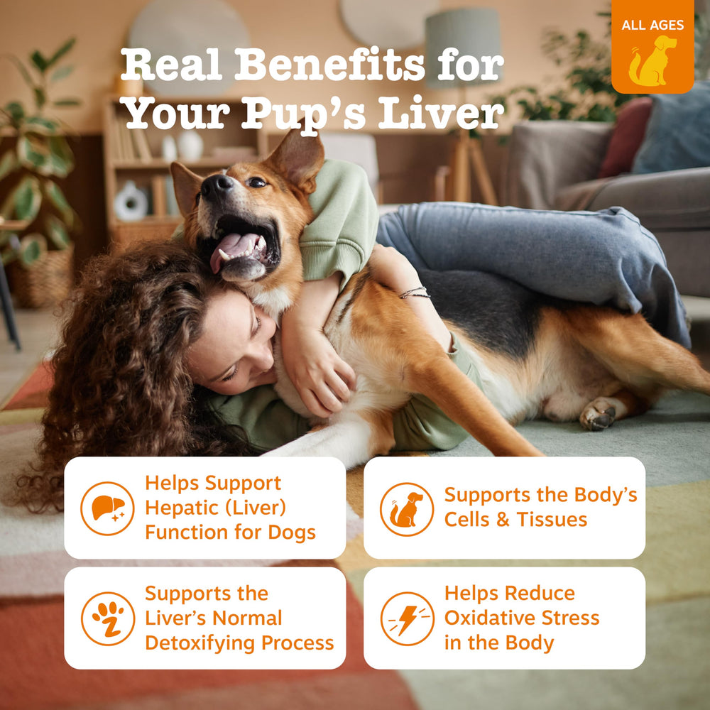 Zesty Paws Liver Support Bites with turmeric for canine wellness and absorption