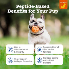 Zesty Paws chews for hips and joints suggesting potential mobility support for dogs