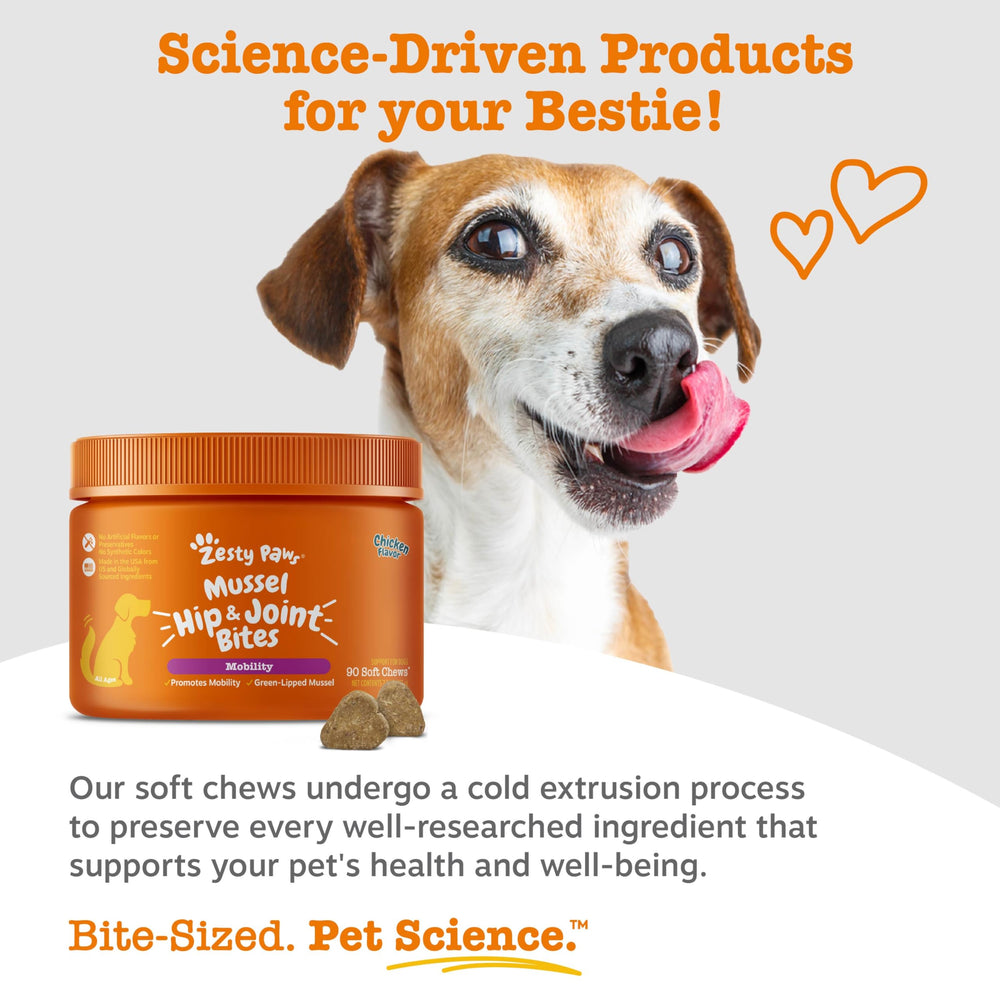 Omega-3 content highlighted on Zesty Paws mussel bites label.