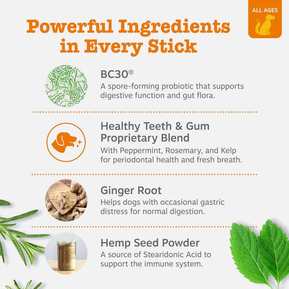 OraStix ginger root adds digestive comfort and flavor appeal.