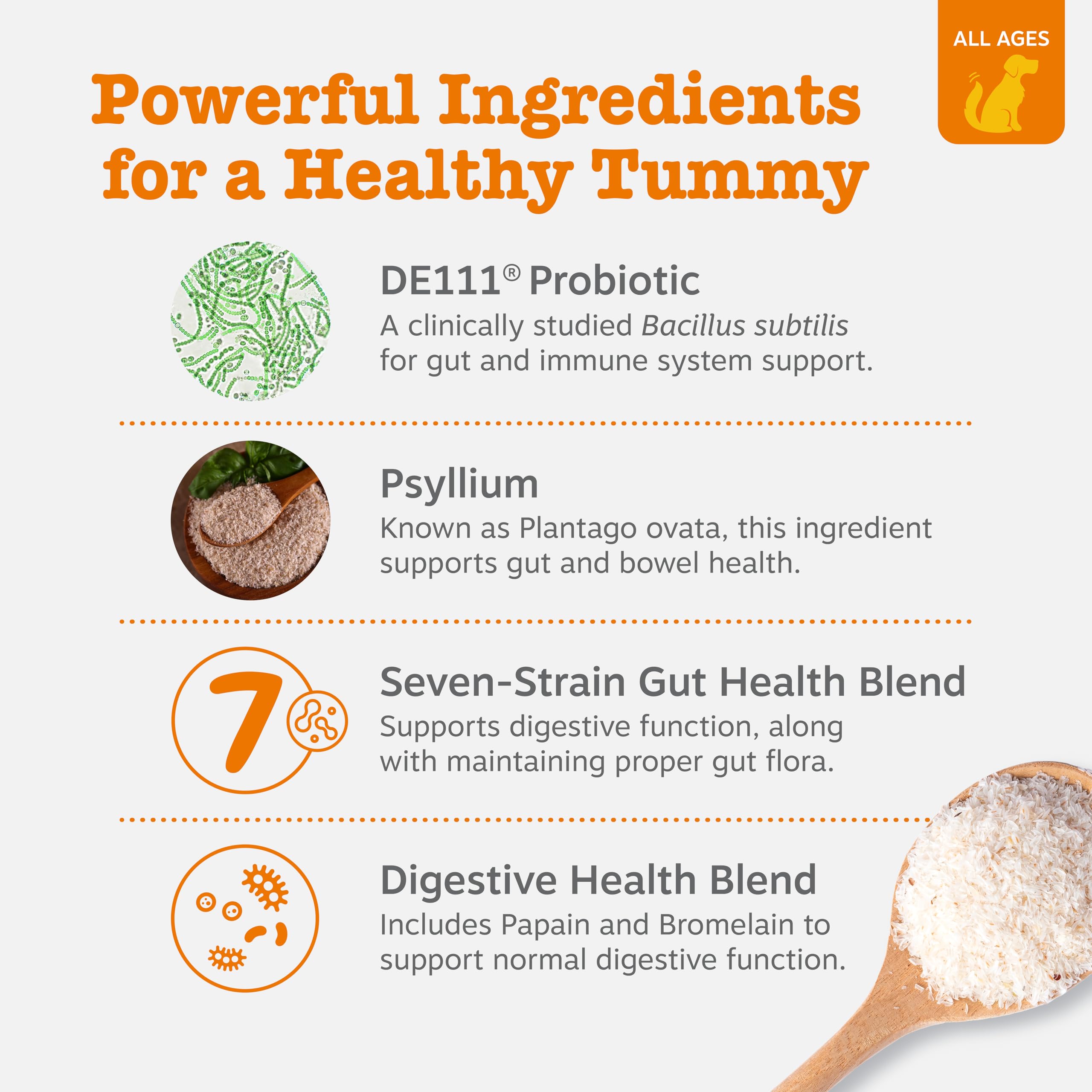 Bottle side highlighting DE111 probiotic and six-strain gut health blend.