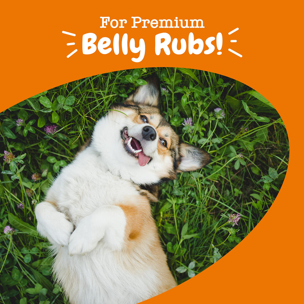 Zesty Paws Lactobacillus strains illustrated in probiotic bites for dogs.