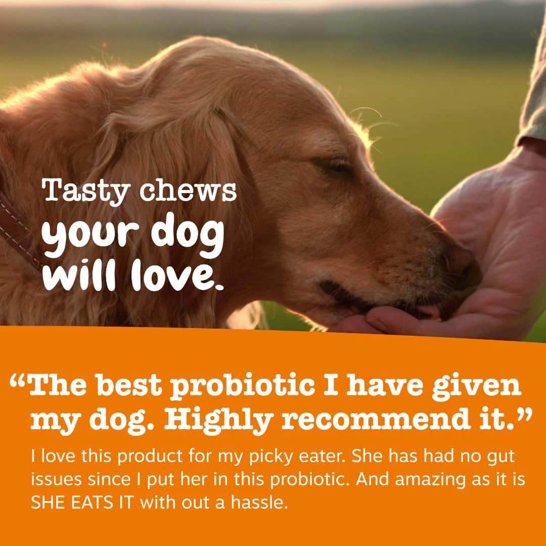 Soft chews with chicken flavor that dogs may enjoy.
