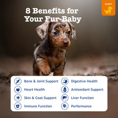 Zesty Paws puppy chicken bites chews close-up for daily nutrition.