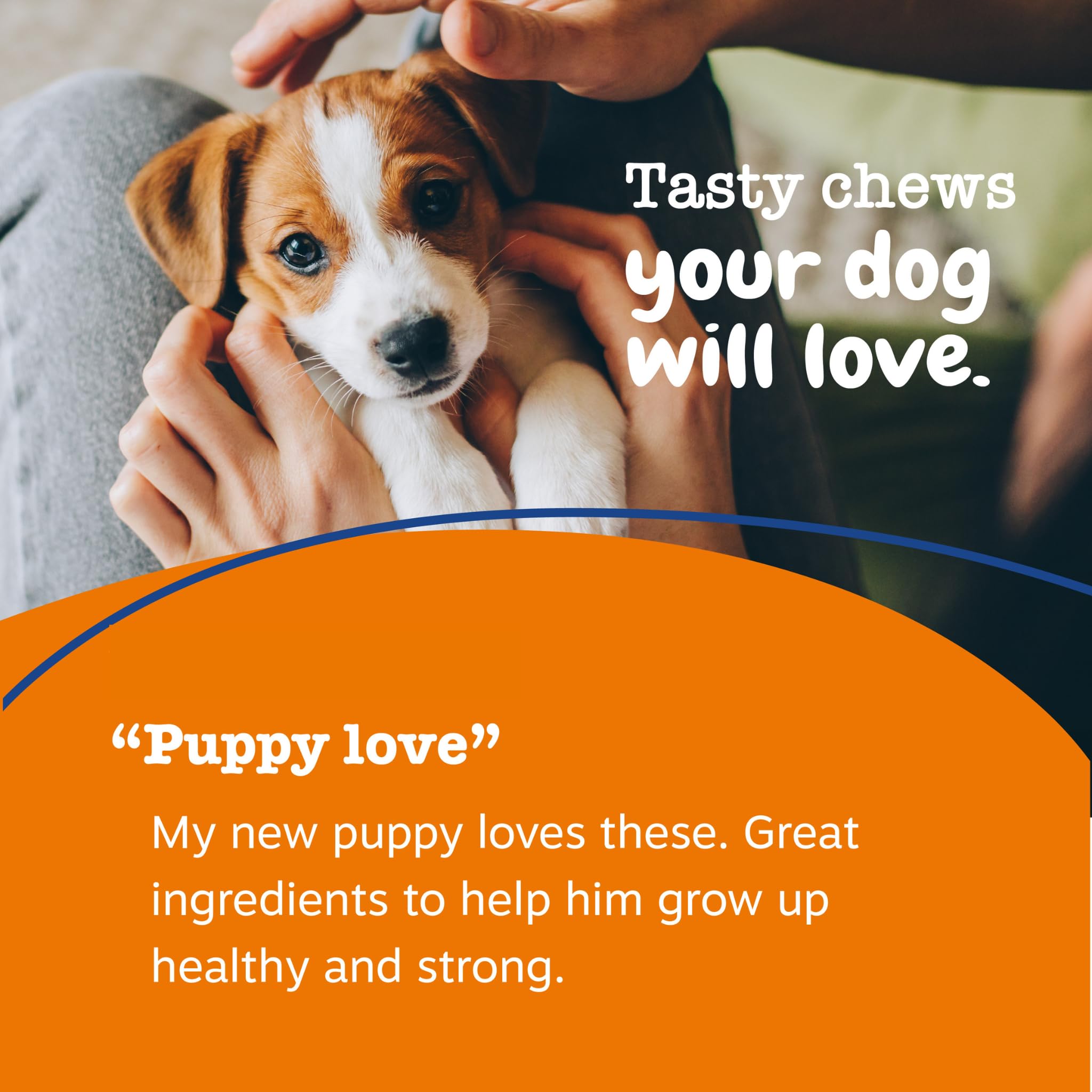 Zesty Paws puppy multivitamin bites for growing dogs.