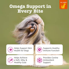 Zesty Paws Salmon Oil drops closeup highlighting omega-3 richness for coats.