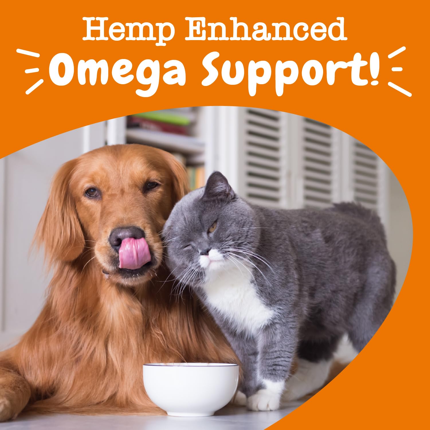 Zesty Paws Salmon Omega Oil Hemp dropper used for precise servings