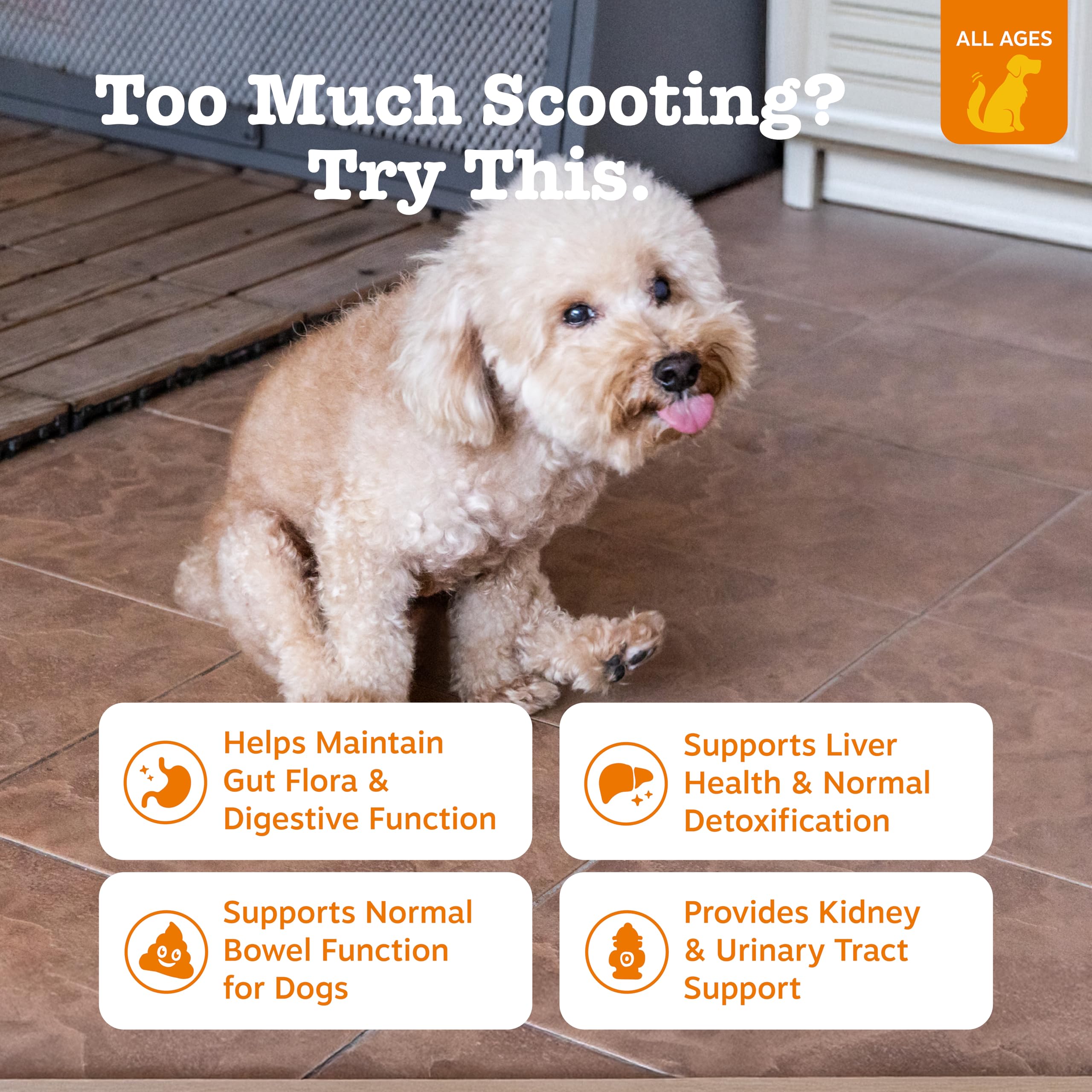 Close-up of Scoot Away texture highlighting soft chew feel