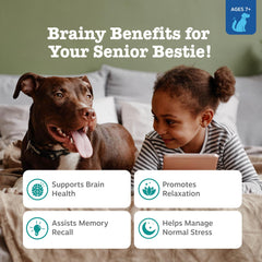 Zesty Paws Senior Advanced chews close-up highlighting texture and cognitive support